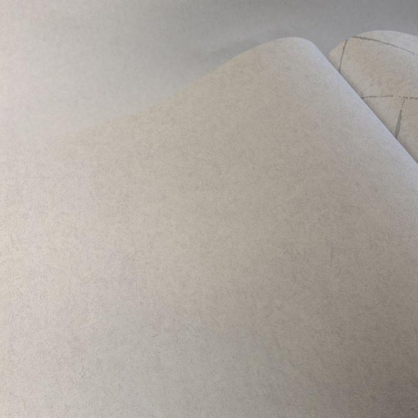 Andrea Rossi Cavolli 54422-1