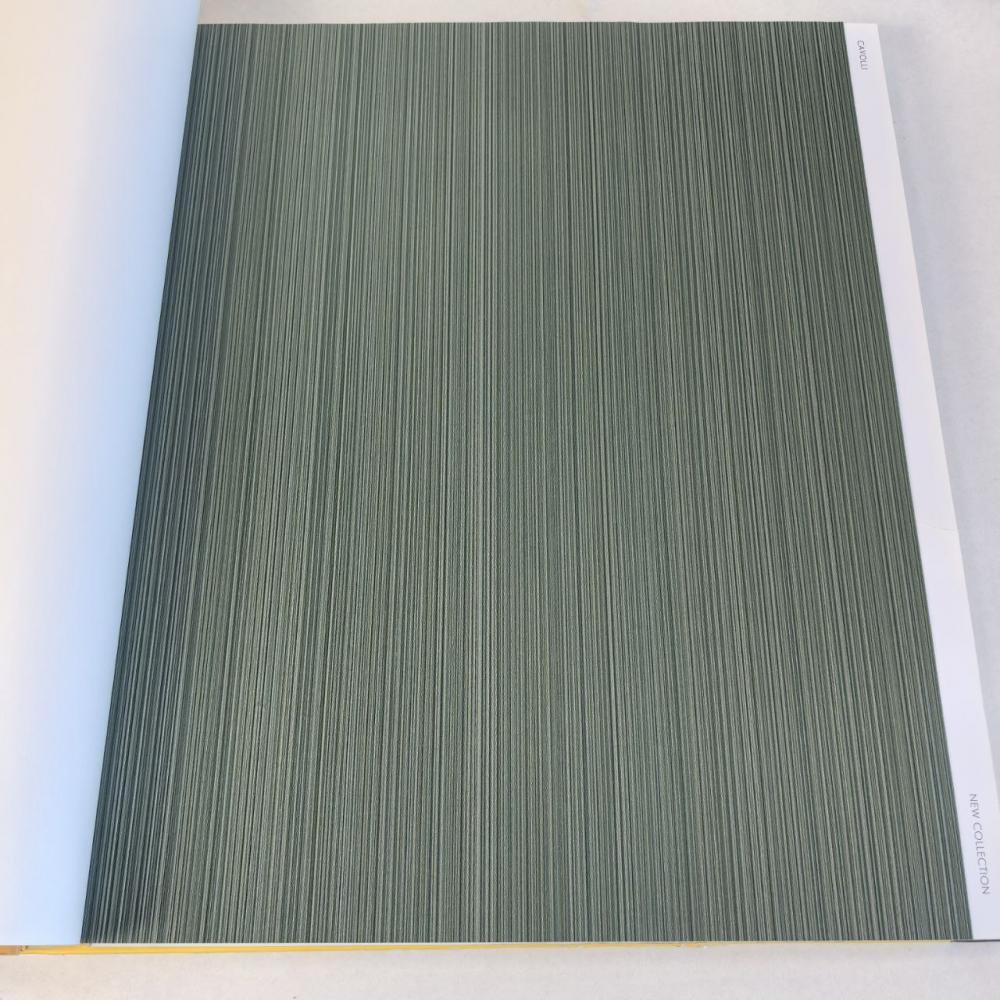 Andrea Rossi Cavolli 54425-8