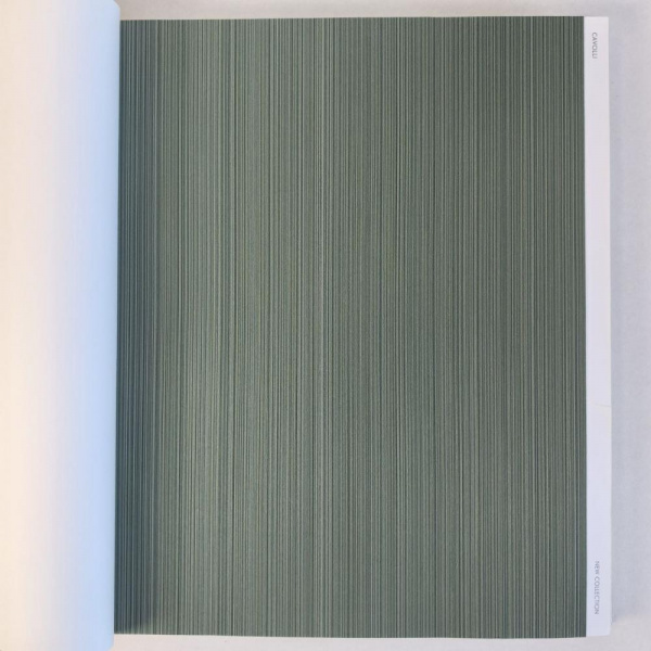 Andrea Rossi Cavolli 54425-8