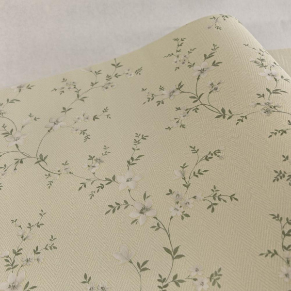 Alessandro Allori Bruni RBN 1001-7 Alessandro Allori Bruni RBN 1001-7