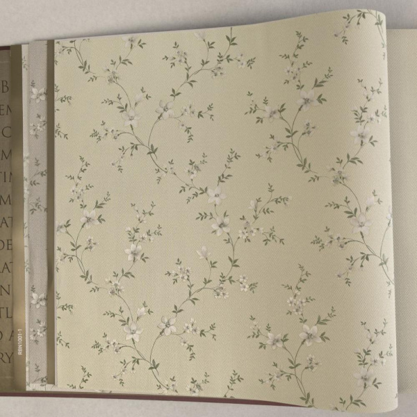 Alessandro Allori Bruni RBN 1001-7 Alessandro Allori Bruni RBN 1001-7