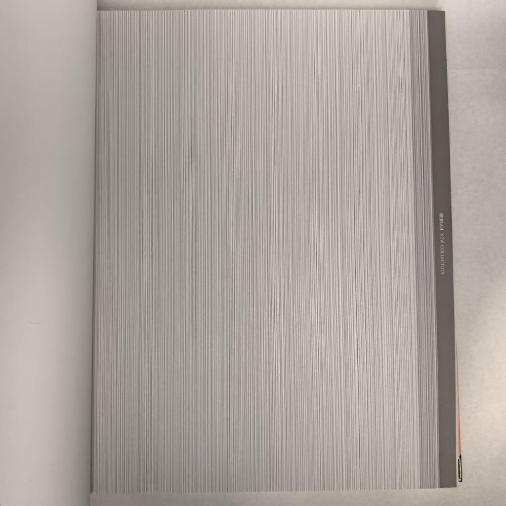 Andrea Rossi Berggi 54447-8