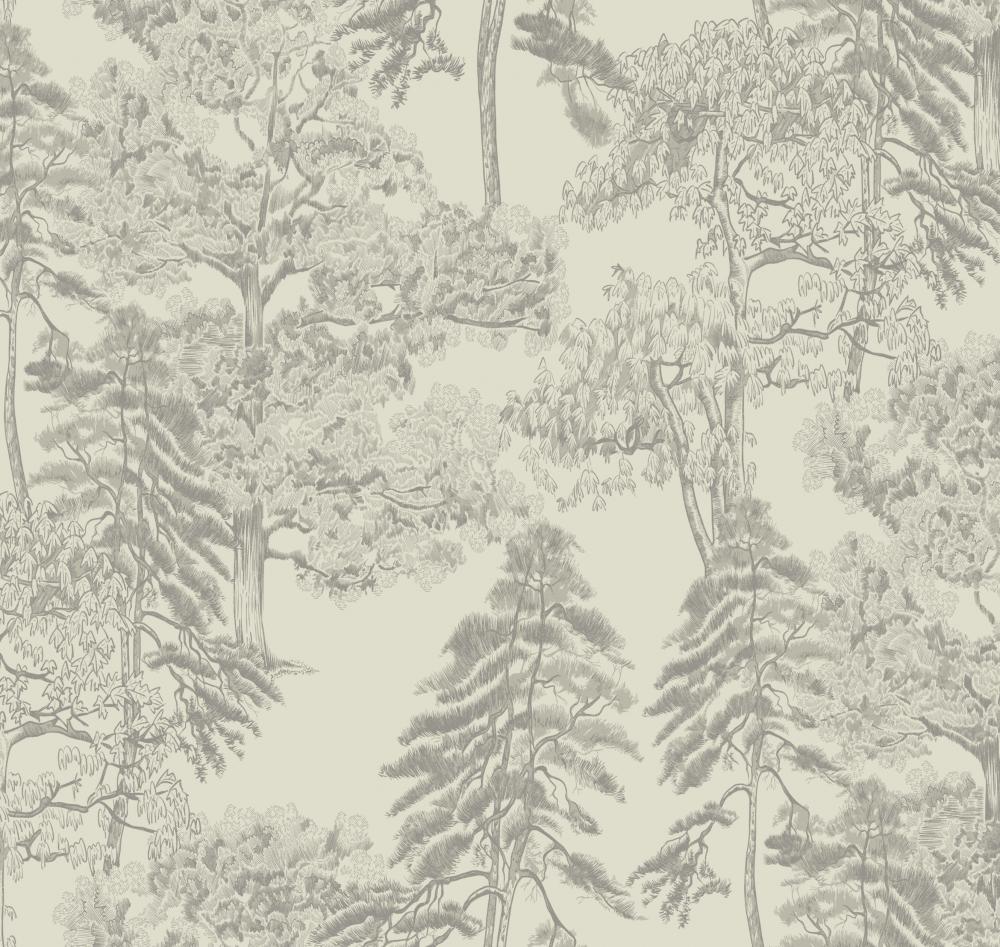 Milassa Ambient AM5 001 Milassa Ambient AM5 001