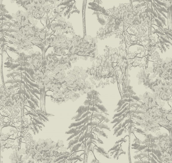 Milassa Ambient AM5 001 Milassa Ambient AM5 001